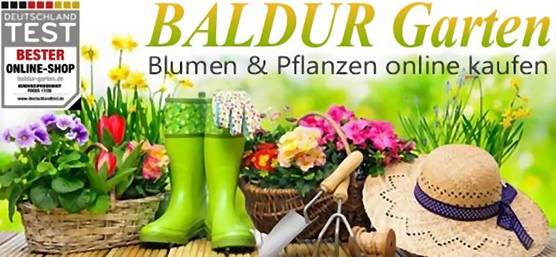 Baldur Garten Gutschein 20 Prozent / Maximal 40 Euro | Gutschein gilt fr das gesamte Pflanzensortimen