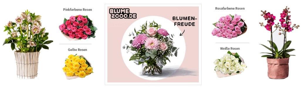 Blume2000 Gutschein 12% Rabatt