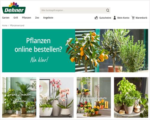 Gartencenter Dehner Pflanzen-Versand im Test-Vergleich mit der Note: Gut bewertet - Preisgünstig Pflanzen bestellen